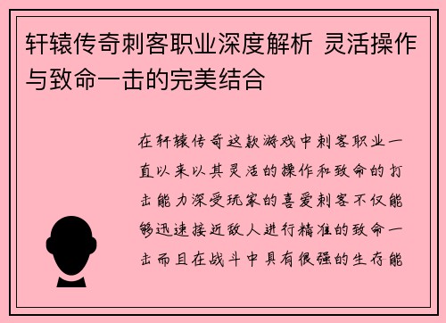 轩辕传奇刺客职业深度解析 灵活操作与致命一击的完美结合